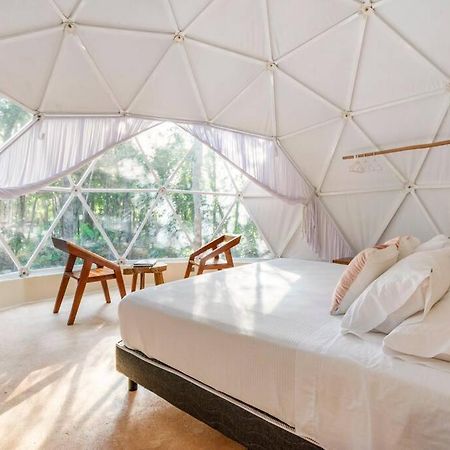 Glamping Mayan Glam 图卢姆 外观 照片