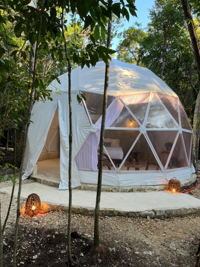 Glamping Mayan Glam 图卢姆 外观 照片