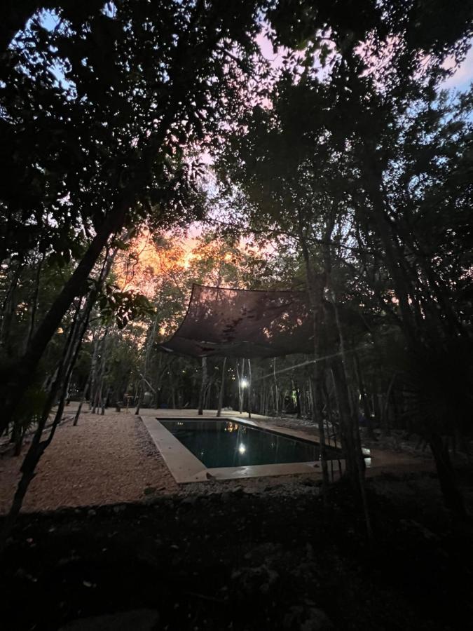 Glamping Mayan Glam 图卢姆 外观 照片