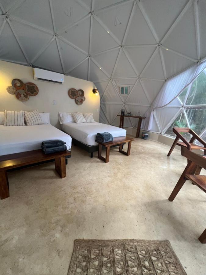 Glamping Mayan Glam 图卢姆 外观 照片