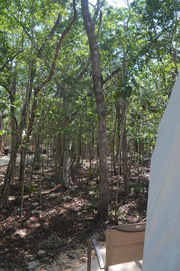 Glamping Mayan Glam 图卢姆 外观 照片