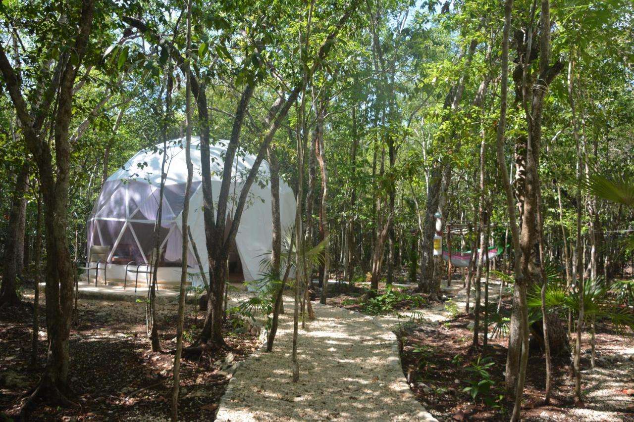 Glamping Mayan Glam 图卢姆 外观 照片