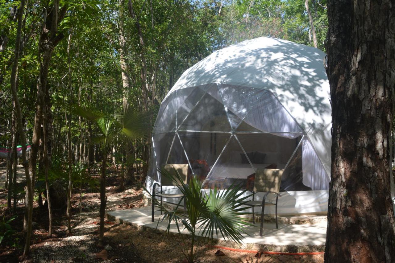 Glamping Mayan Glam 图卢姆 外观 照片