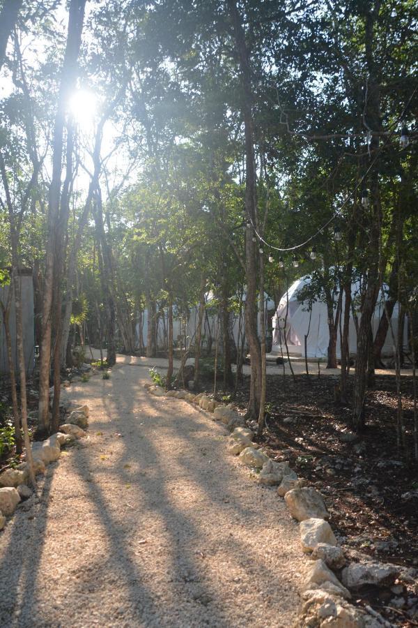 Glamping Mayan Glam 图卢姆 外观 照片