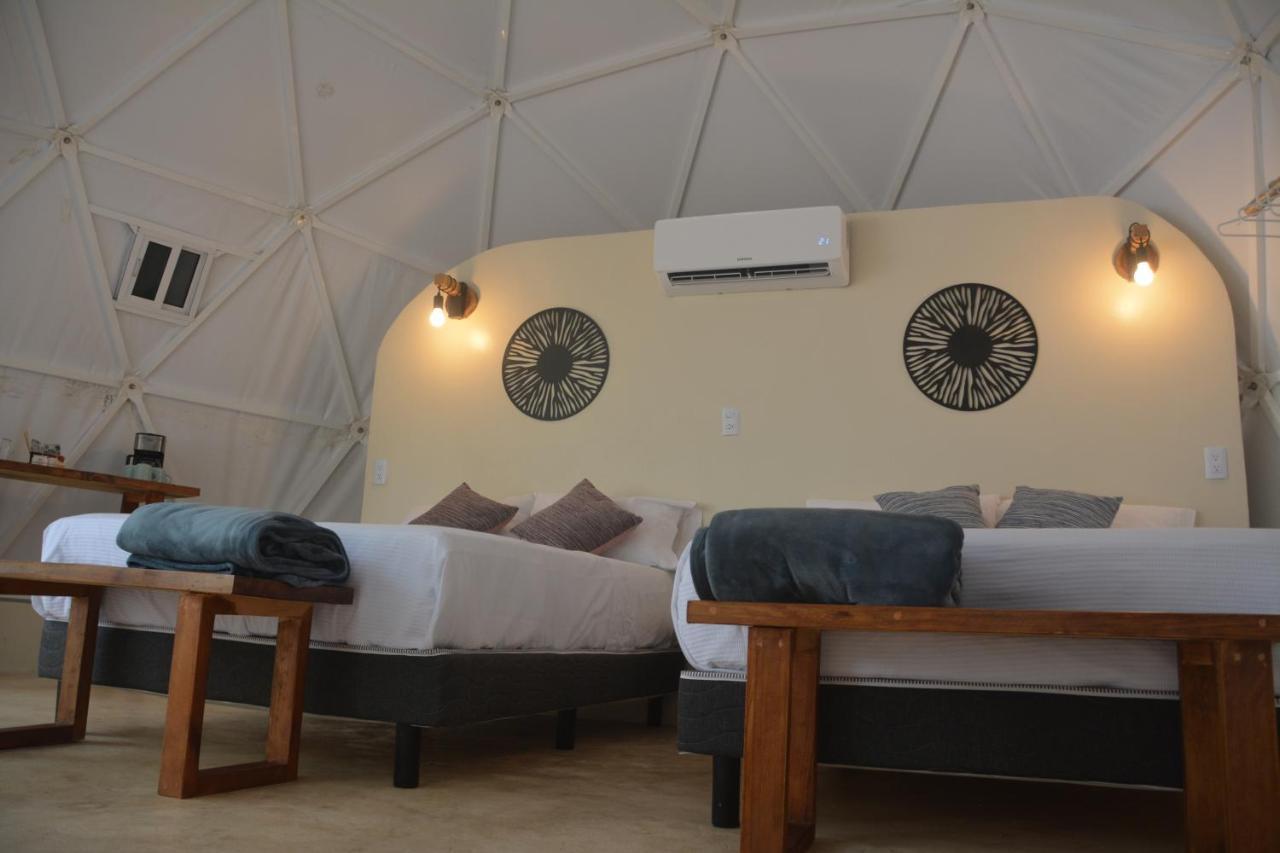 Glamping Mayan Glam 图卢姆 外观 照片