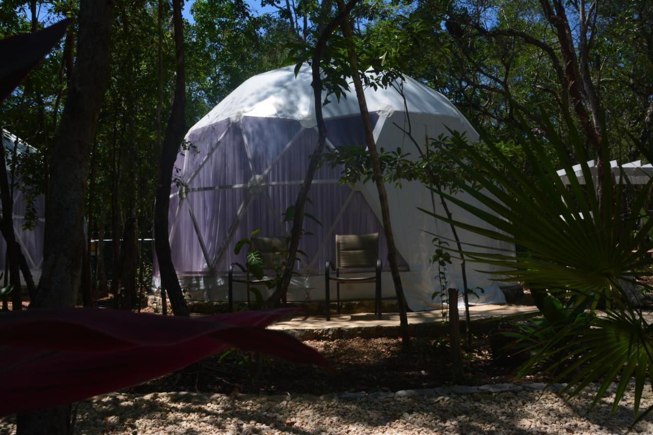 Glamping Mayan Glam 图卢姆 外观 照片