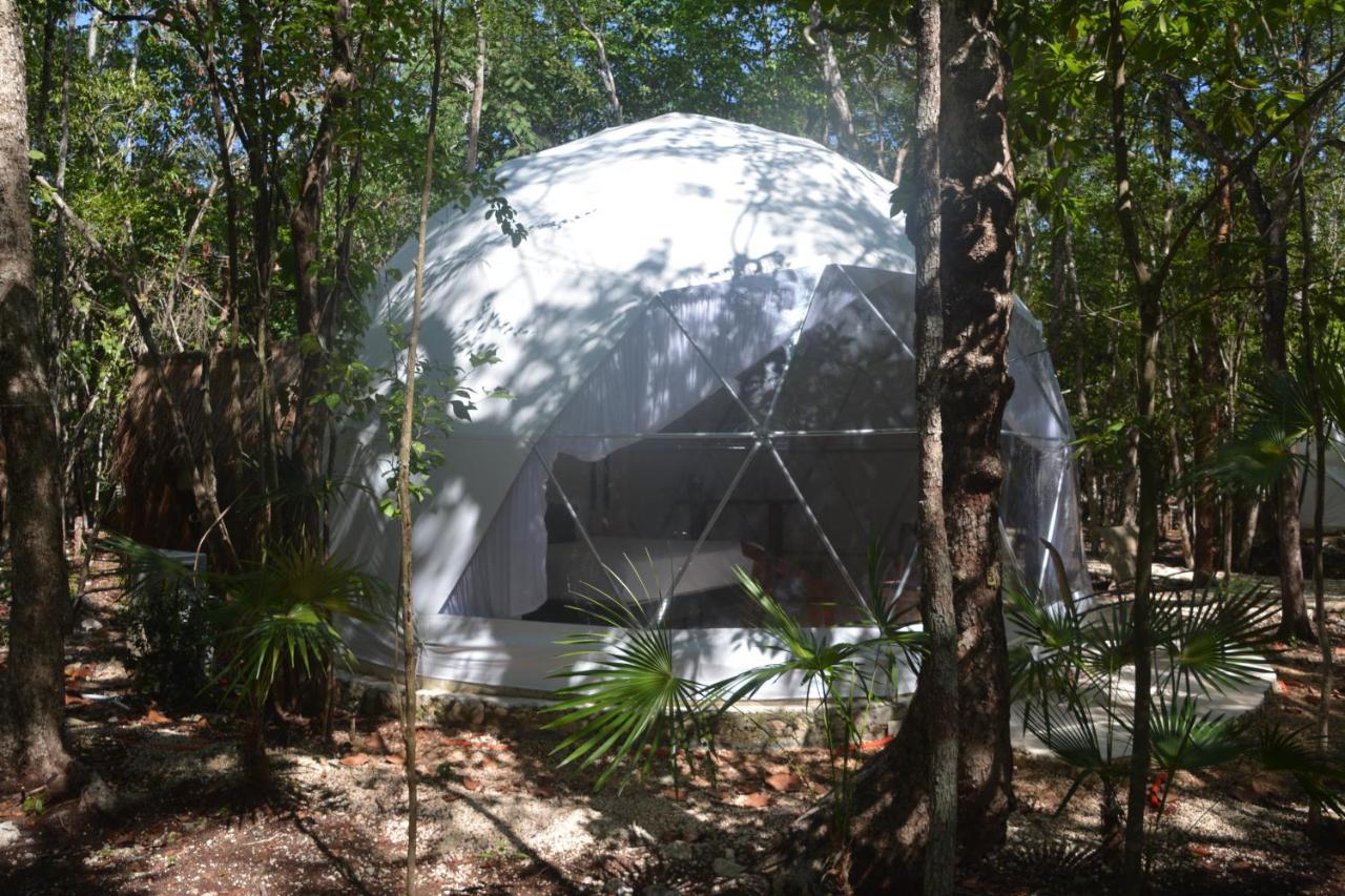 Glamping Mayan Glam 图卢姆 外观 照片
