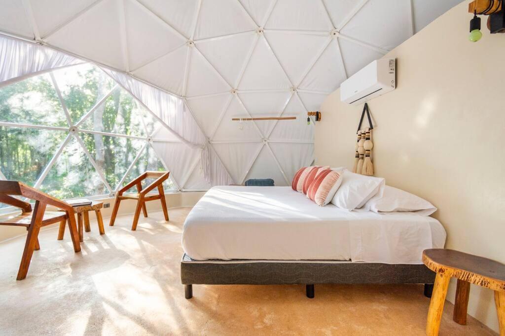 Glamping Mayan Glam 图卢姆 外观 照片