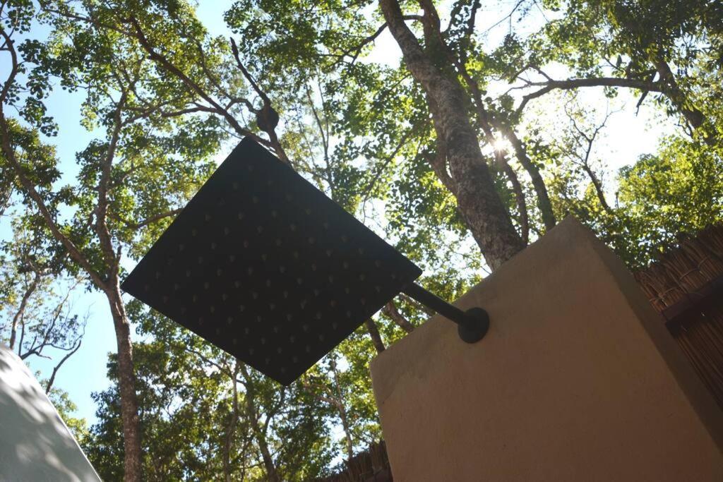 Glamping Mayan Glam 图卢姆 外观 照片