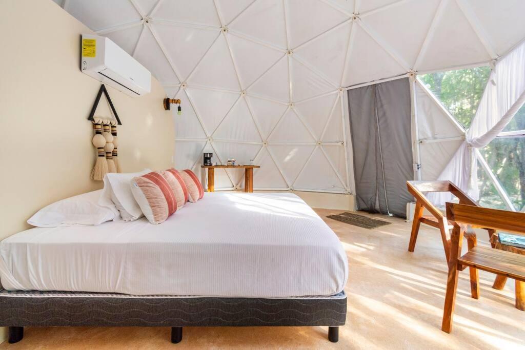 Glamping Mayan Glam 图卢姆 外观 照片
