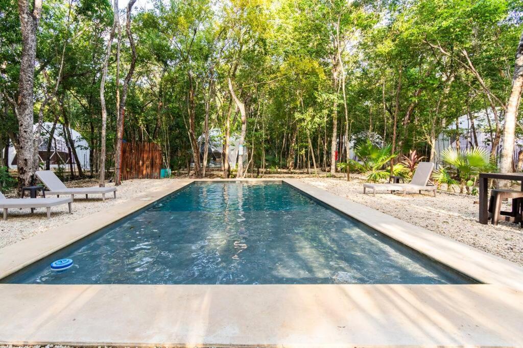 Glamping Mayan Glam 图卢姆 外观 照片