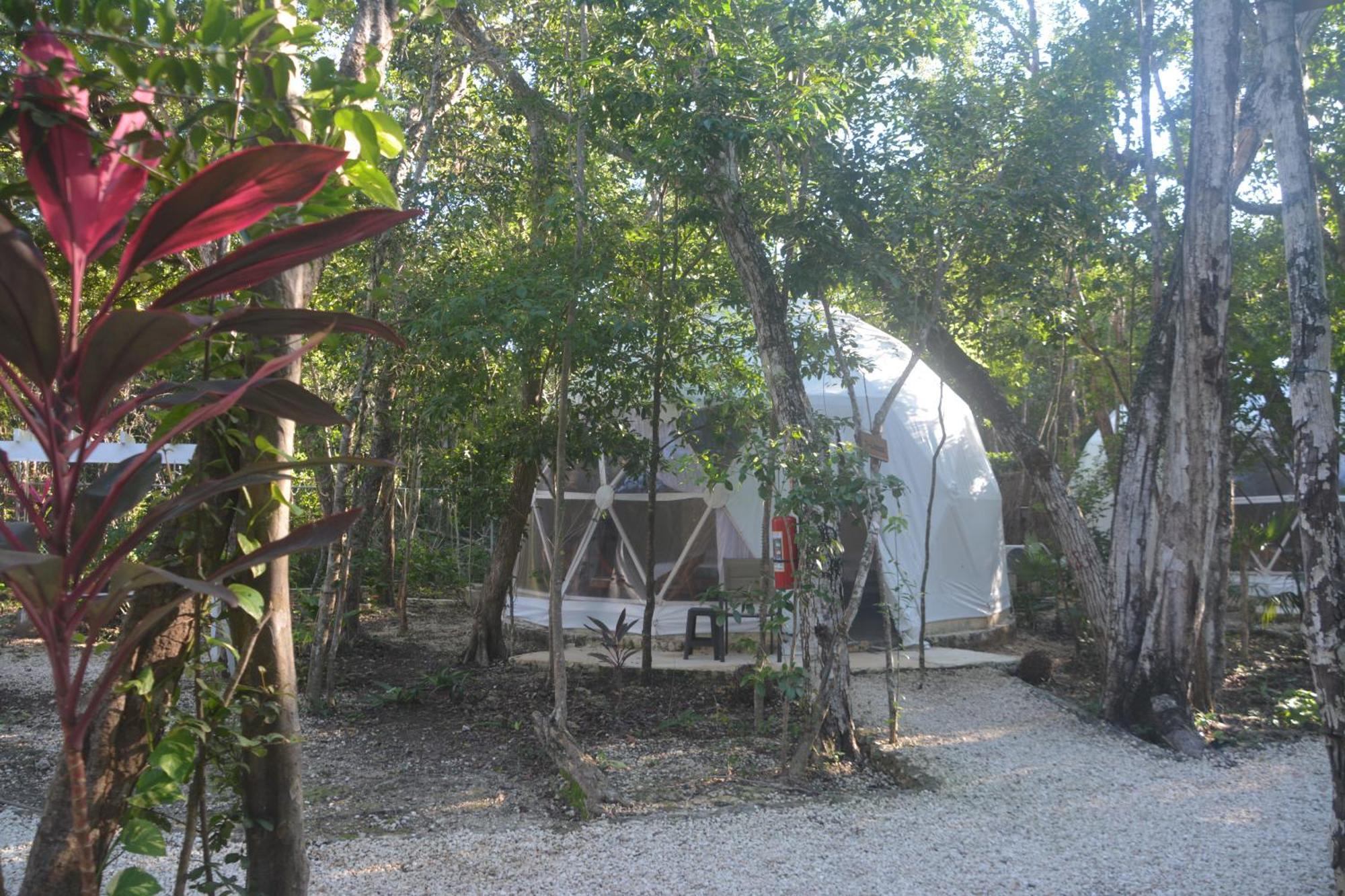 Glamping Mayan Glam 图卢姆 外观 照片