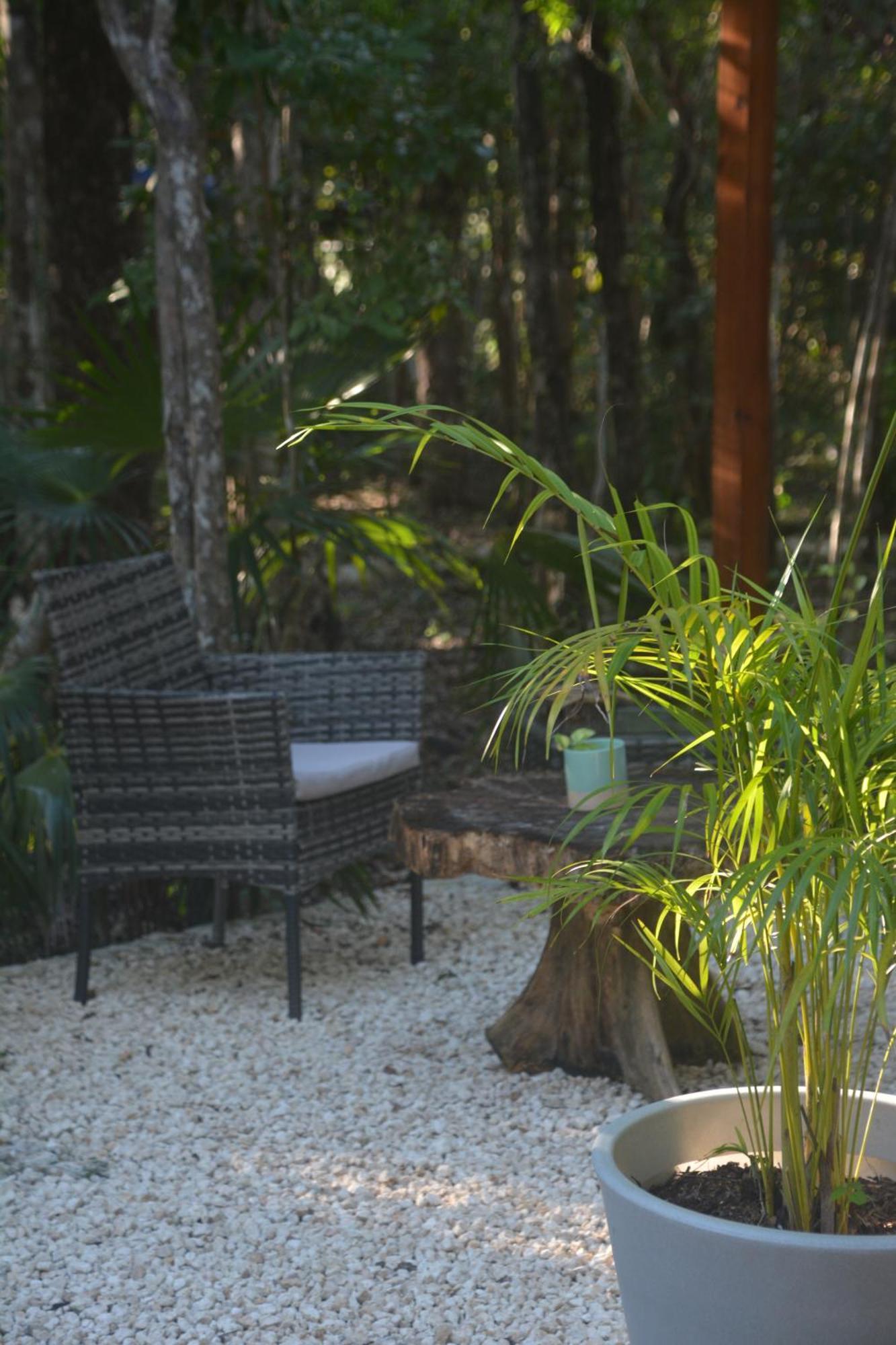 Glamping Mayan Glam 图卢姆 外观 照片