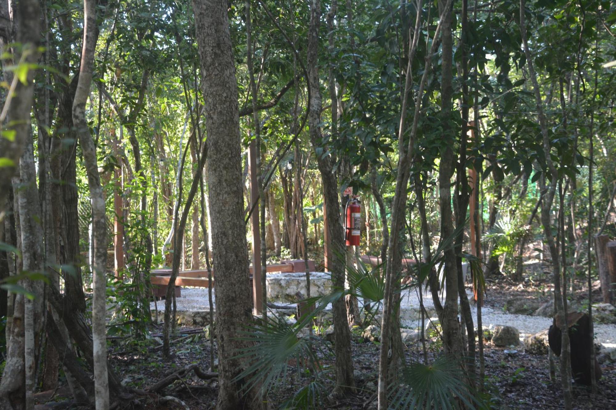 Glamping Mayan Glam 图卢姆 外观 照片